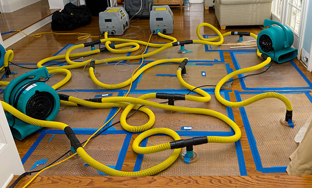 Professional Structural Drying And Dehumidification technician working in Ney, OH